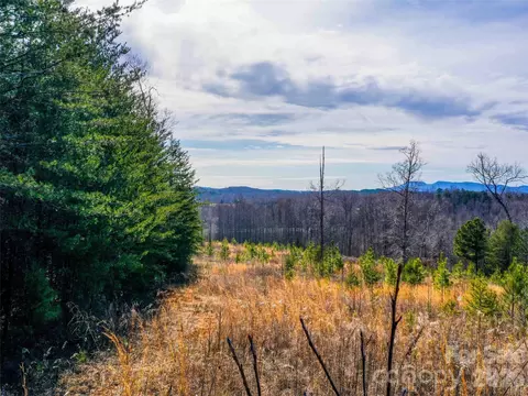 00 Pea Ridge Rd, Mill Spring, NC 28756 photo 2