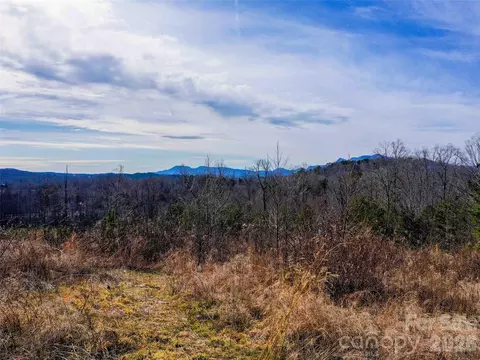 00 Pea Ridge Rd, Mill Spring, NC 28756 photo 5