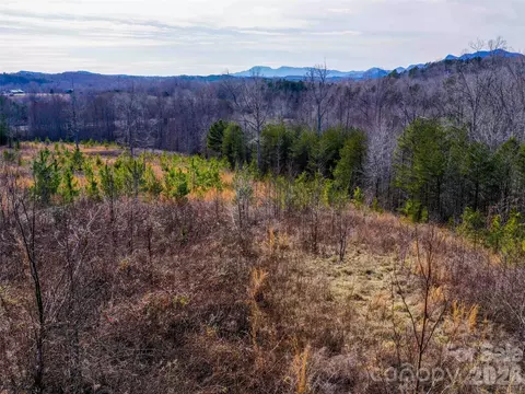 00 Pea Ridge Rd, Mill Spring, NC 28756 photo 10