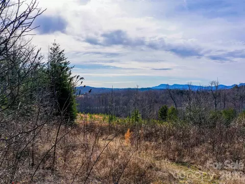 00 Pea Ridge Rd, Mill Spring, NC 28756 photo 4