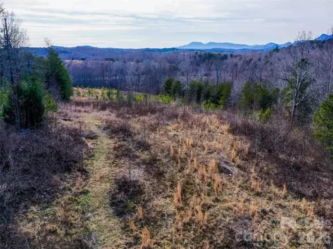 00 Pea Ridge Rd, Mill Spring, NC 28756 photo 11