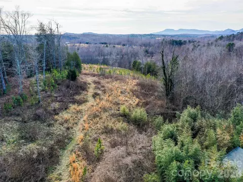 00 Pea Ridge Rd, Mill Spring, NC 28756 photo 12