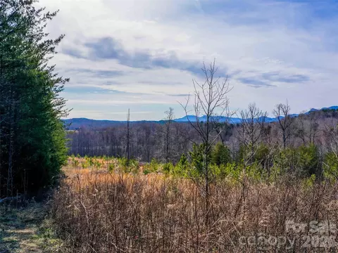 00 Pea Ridge Rd, Mill Spring, NC 28756