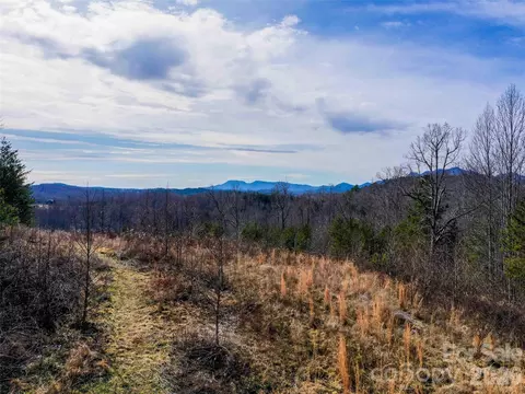 00 Pea Ridge Rd, Mill Spring, NC 28756 photo 6