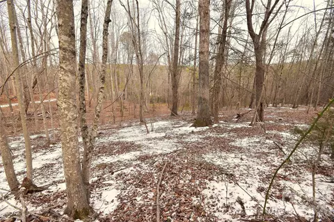 00 King Stepp Rd, Mill Spring, NC 28756 photo 7