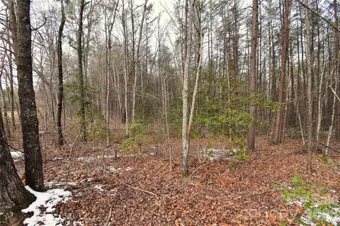 00 King Stepp Rd, Mill Spring, NC 28756 photo 8