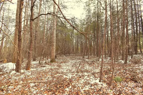 00 King Stepp Rd, Mill Spring, NC 28756 photo 5