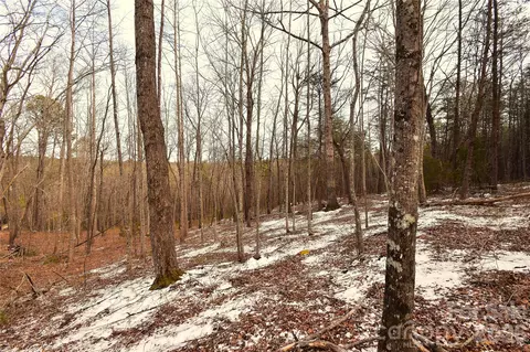 00 King Stepp Rd, Mill Spring, NC 28756 photo 6