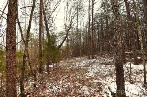 00 King Stepp Rd, Mill Spring, NC 28756 photo 9