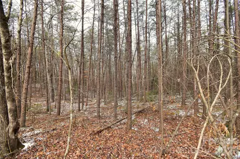 00 King Stepp Rd, Mill Spring, NC 28756 photo 10