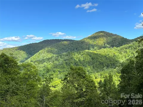 Meadow Fork Road, Hot Springs, NC 28743