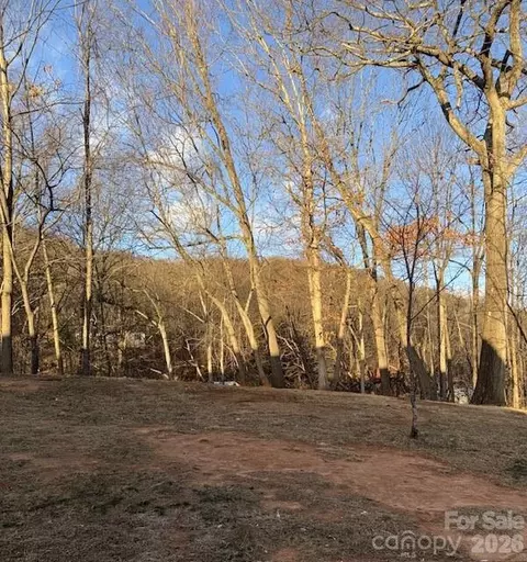 Other - 5 Loop Rd, Candler, NC 28715 photo 13 of 14