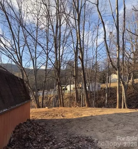 Other - 5 Loop Rd, Candler, NC 28715 photo 8 of 14