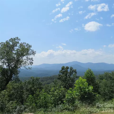 336 Willow Top 336 Ln #336, Lake Lure, NC 28746
