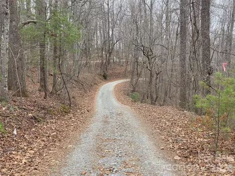 00 Hickory Wood 2021 Trl #20,21, Hendersonville, NC 28739