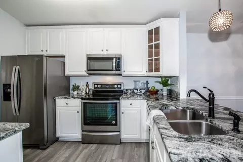 17151 Doe Valley Ct, Cornelius, NC 28031 photo 4