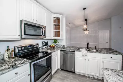 17151 Doe Valley Ct, Cornelius, NC 28031 photo 5