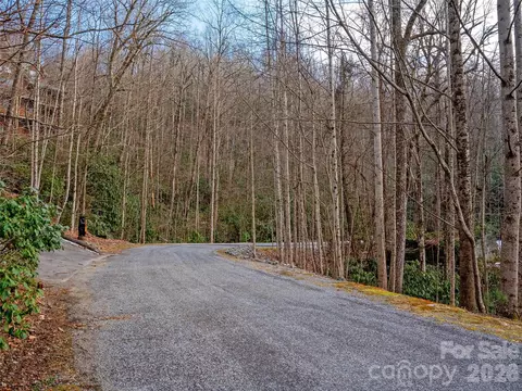 Lost Mine Trail, Brevard, NC 28712 photo 8