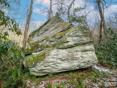 Lost Mine Trail, Brevard, NC 28712 photo 10
