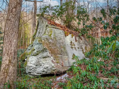 Lost Mine Trail, Brevard, NC 28712 photo 9
