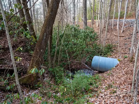 Lost Mine Trail, Brevard, NC 28712 photo 6