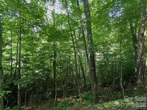 150 Ivy Rd, Newland, NC 28657