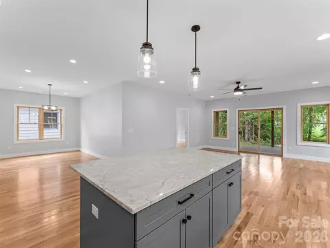 Living - 306 Gallimore Rd, Brevard, NC 28712 photo 4 of 6