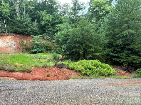 Staghorn Road, Purlear, NC 28665 photo 25