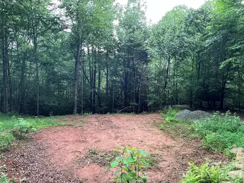 Staghorn Road, Purlear, NC 28665 photo 18