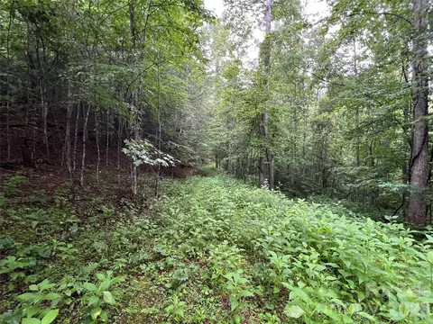 Staghorn Road, Purlear, NC 28665 photo 19