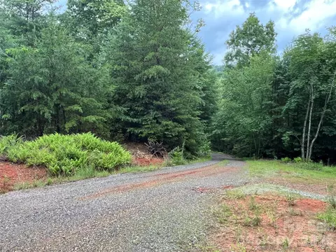 Staghorn Road, Purlear, NC 28665 photo 26