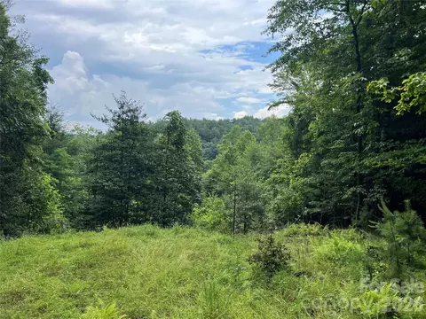 Staghorn Road, Purlear, NC 28665 photo 7