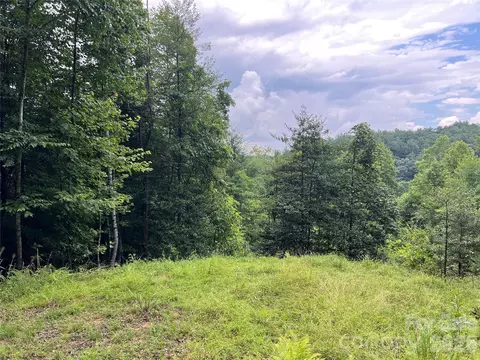 Staghorn Road, Purlear, NC 28665 photo 6
