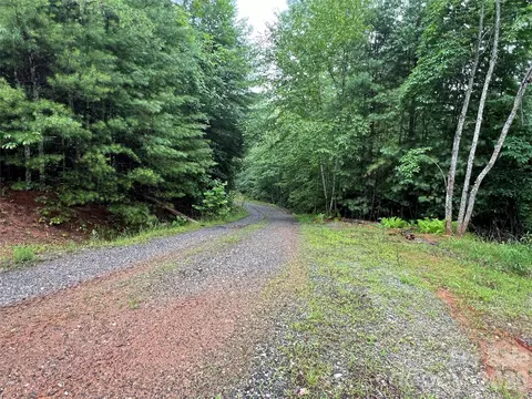 Staghorn Road, Purlear, NC 28665 photo 27