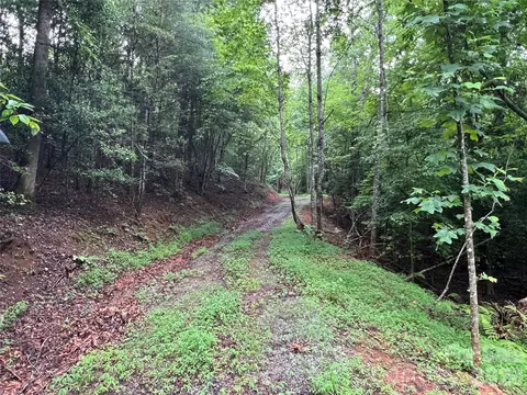 Staghorn Road, Purlear, NC 28665 photo 13