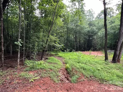 Staghorn Road, Purlear, NC 28665 photo 14