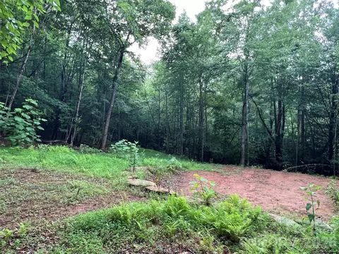Staghorn Road, Purlear, NC 28665 photo 17