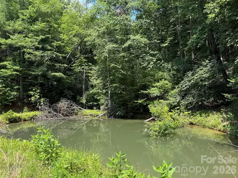 Staghorn Road, Purlear, NC 28665 photo 2