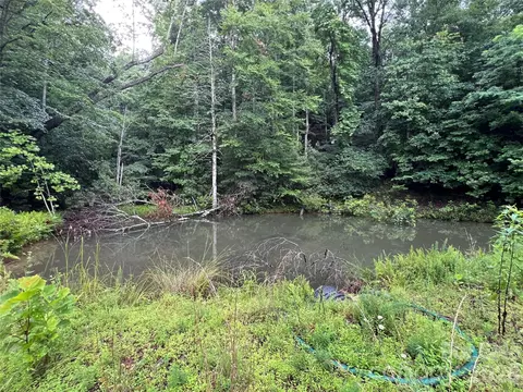 Staghorn Road, Purlear, NC 28665 photo 8