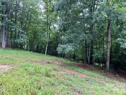 Staghorn Road, Purlear, NC 28665 photo 11