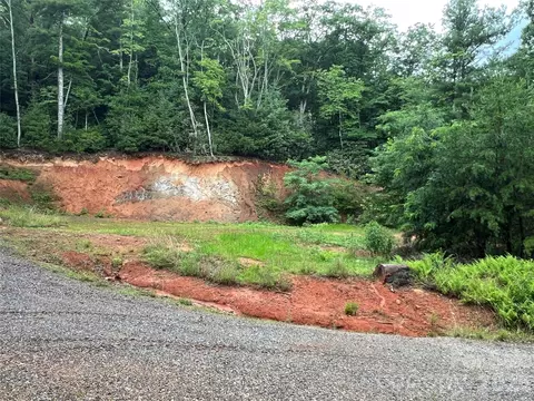 Staghorn Road, Purlear, NC 28665 photo 22