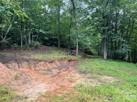 Staghorn Road, Purlear, NC 28665 photo 9