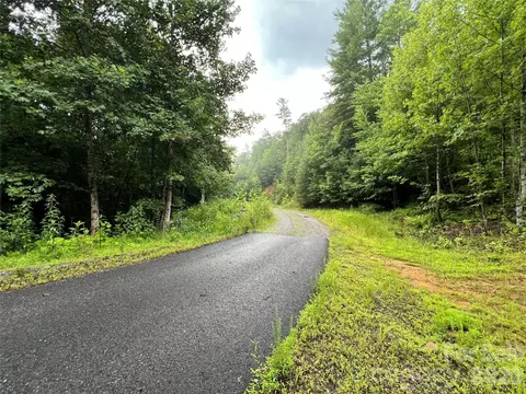 Staghorn Road, Purlear, NC 28665 photo 4