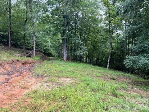 Staghorn Road, Purlear, NC 28665 photo 10