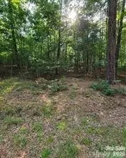 0 Bishop Ln, Mill Spring, NC 28756 photo 2