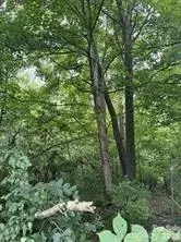 0 Bishop Ln, Mill Spring, NC 28756