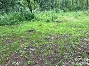 0 Bishop Ln, Mill Spring, NC 28756 photo 3