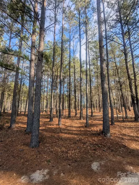 482 Pine 2d Rd #2D, Jefferson, SC 29718 photo 3