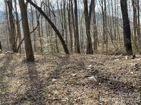 000 Max Metcalf Rd, Swannanoa, NC 28778