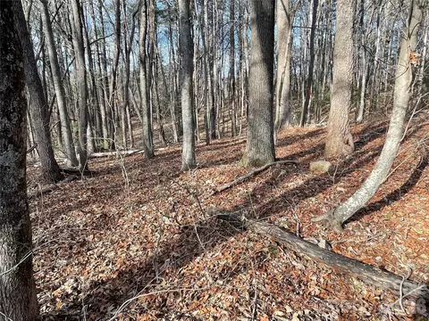 220 Max Metcalf Rd, Swannanoa, NC 28778